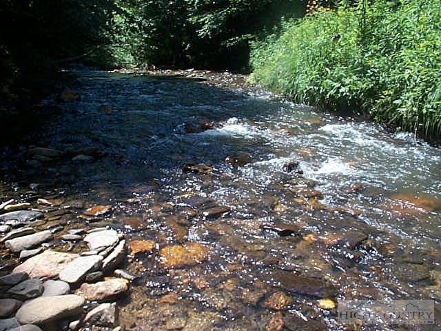 Lot # Moss Hill Road Boone, NC 28607 - Photo 1 of 1 a view of a forest with trees