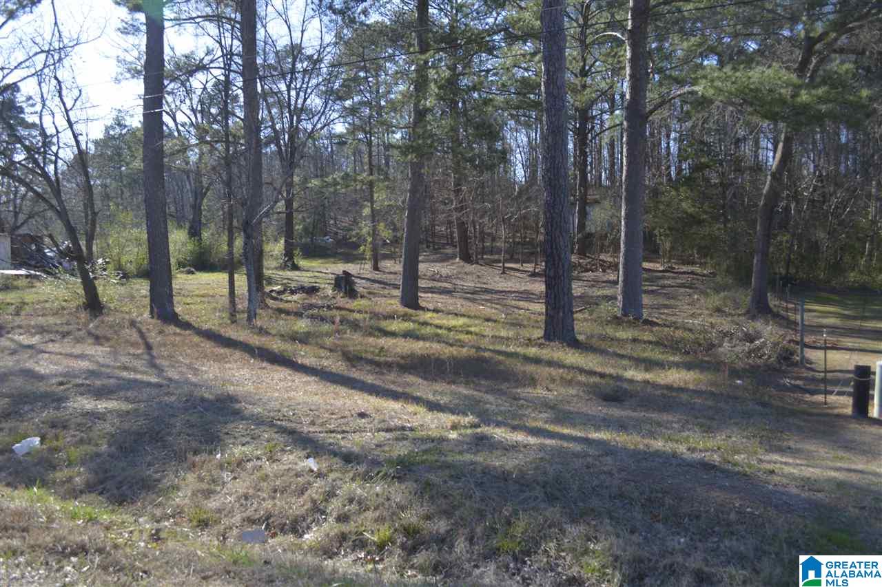 1845 Pelham Road South, Unit VACANT LOT Jacksonville, AL 36265 - Photo 3 of 11