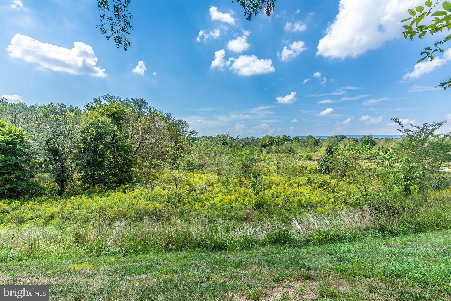 1832 Monocacy View Circle Frederick, MD 21701 - Photo 25 of 30 a view of a yard with plants and a trees