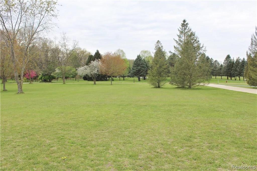 16163 Bak Road Belleville, MI 48111 - Photo 8 of 62