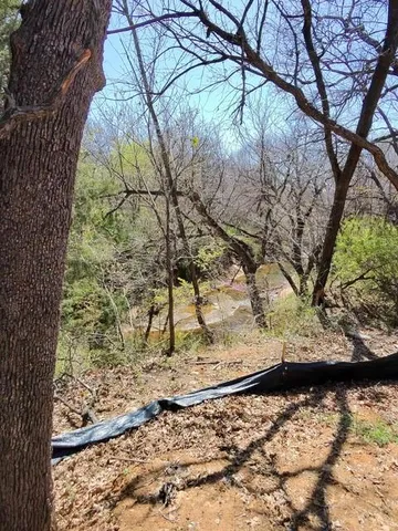 a view of a yard with large trees