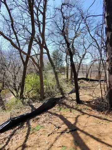 a view of a backyard with large trees