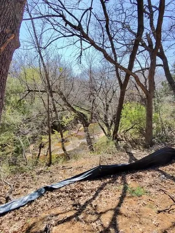 a view of a yard with a tree