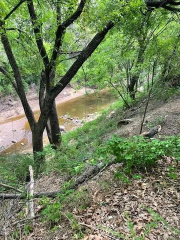 a view of a garden with a tree