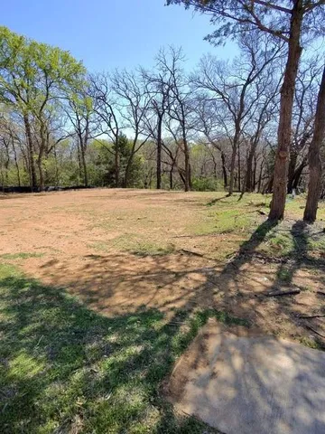 a view of a yard with trees