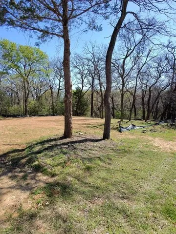 a view of road with large trees
