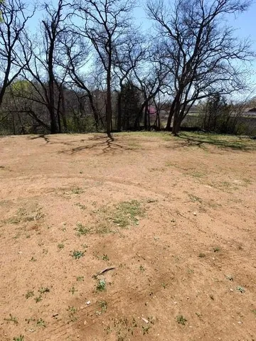 a house view with yard