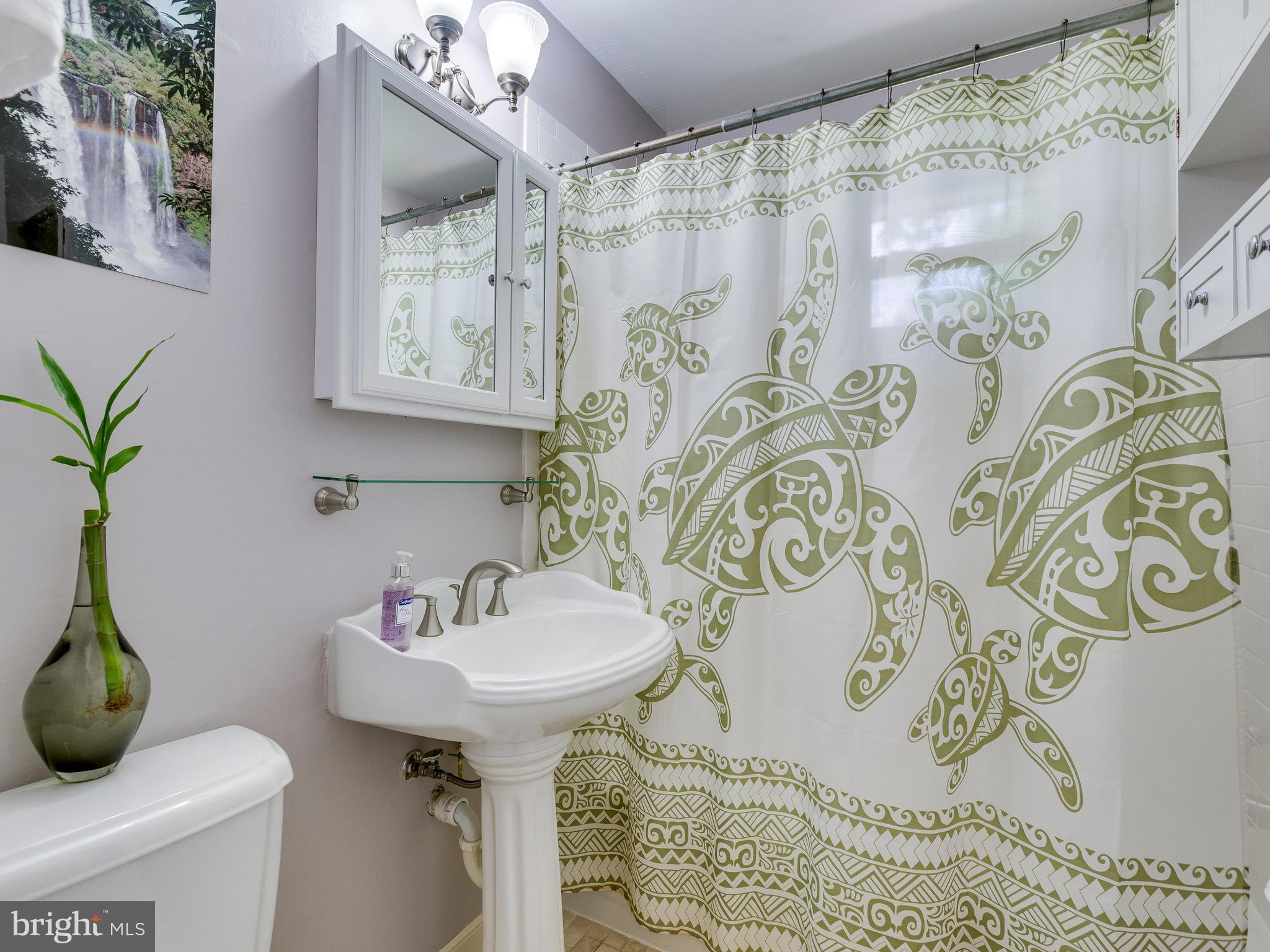 913 Robin Road Silver Spring, MD 20901 - Photo 19 of 30 Pedestal sink and bath/shower combo