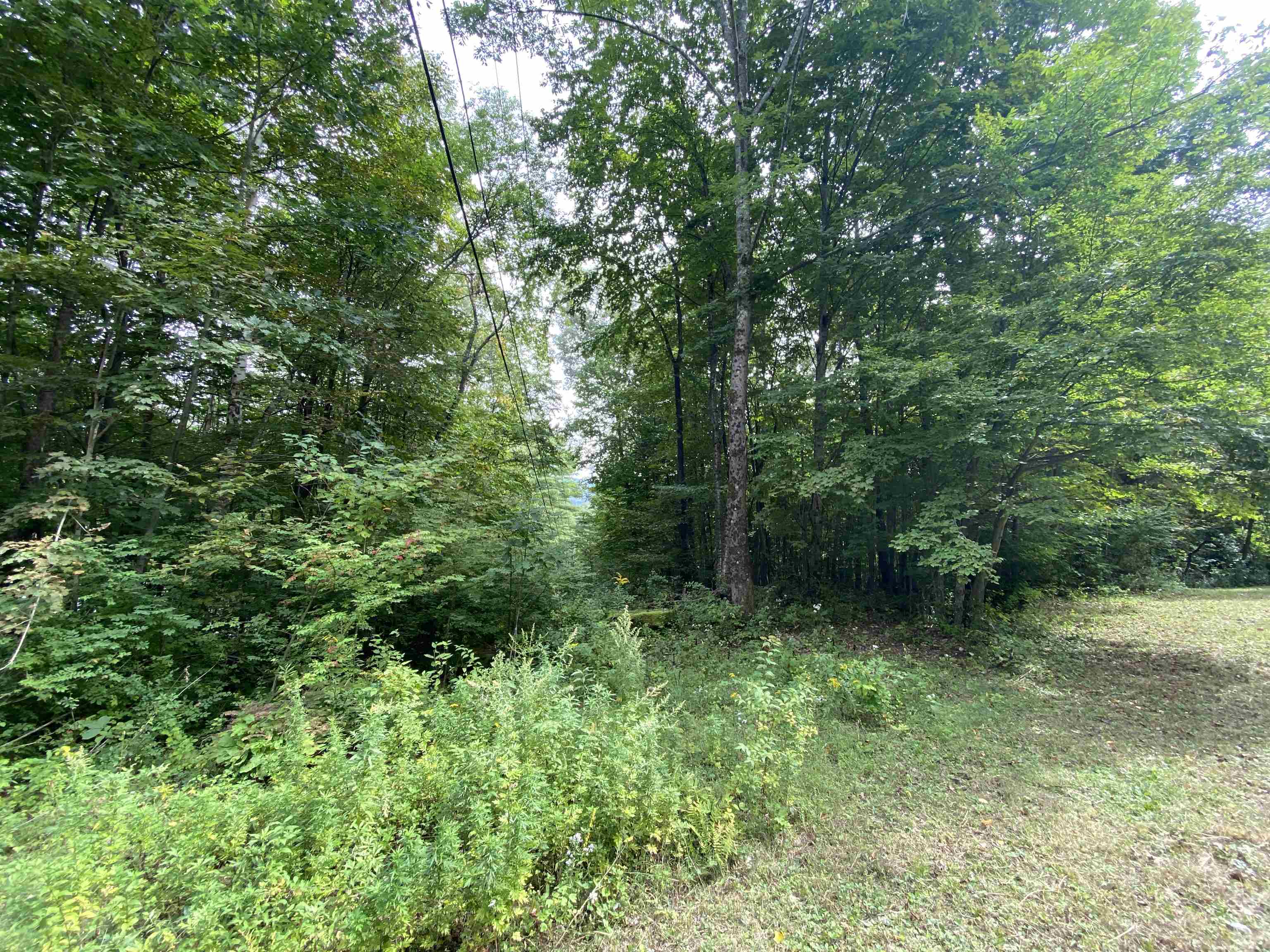 67 Cedar Rock Road Arlington, VT 05250 - Photo 4 of 4