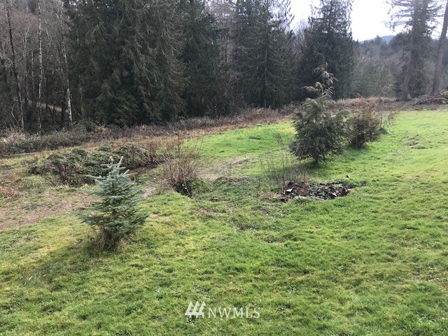 140 Hoskins Road Kelso, WA 98626 - Photo 2 of 13 Gallery Image 2
