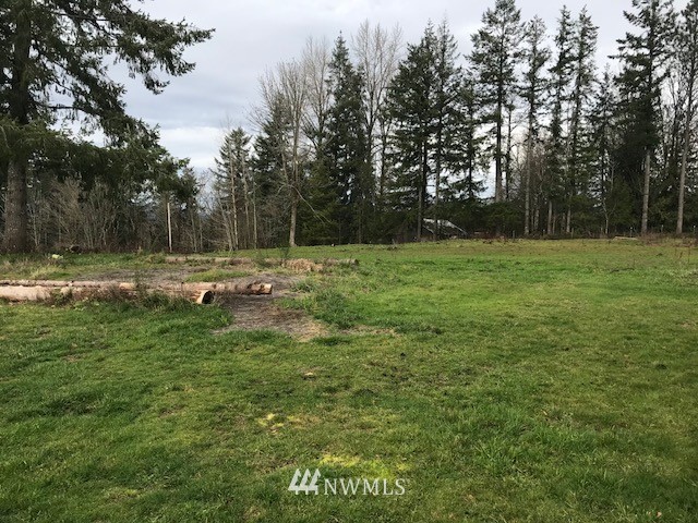 140 Hoskins Road Kelso, WA 98626 - Photo 4 of 13 Gallery Image 4
