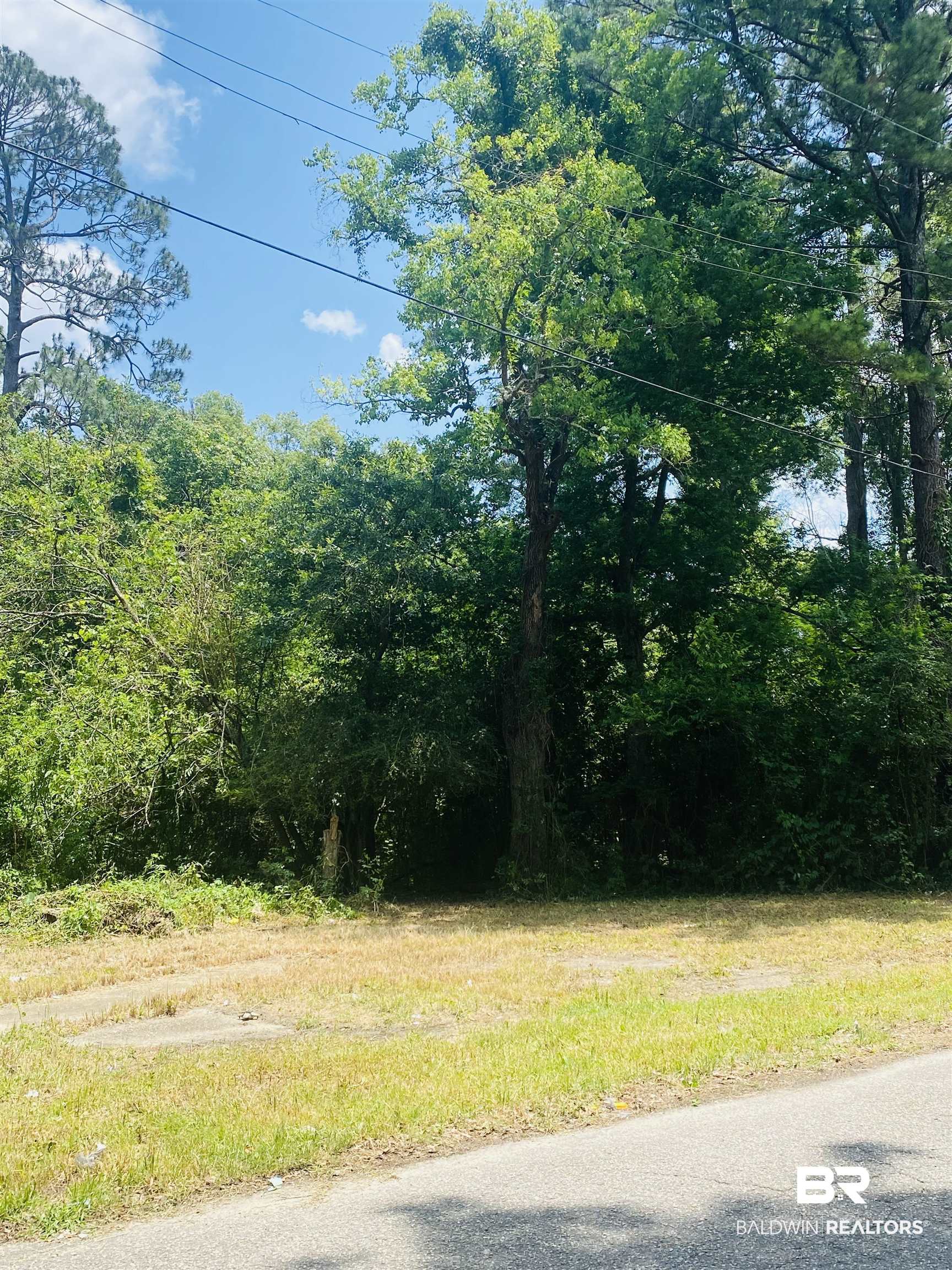421 West Foch Street Mobile, AL 36610 - Photo 4 of 13