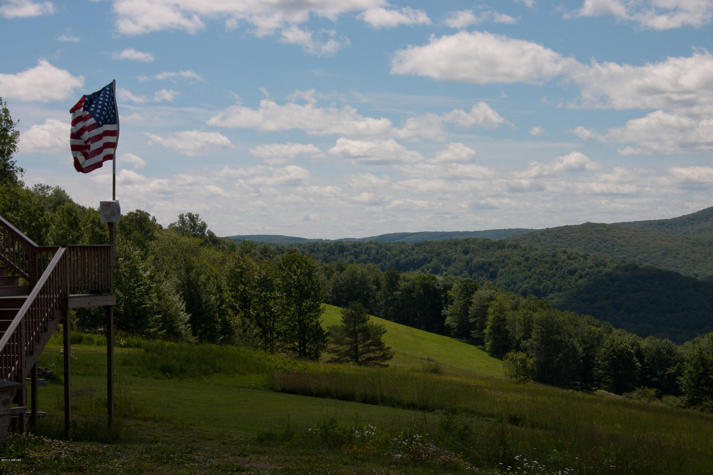 1356 Route 362 Route Wellsboro, PA 16901 - Photo 52 of 66 Beautiful_Home-53