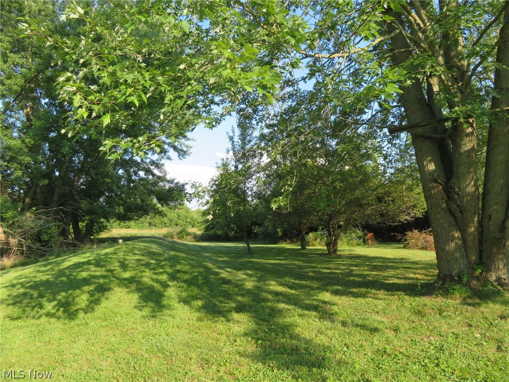 45295 Parsons Road Oberlin, OH 44074 - Photo 9 of 39 The back yard extends beyond the fenced yard. This view is of the Mound Septic System