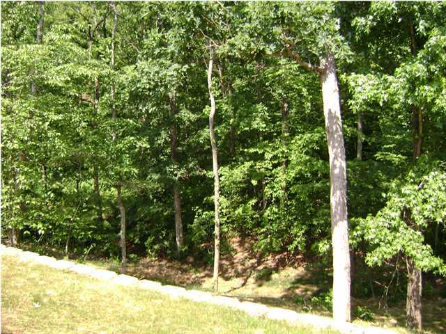 5542 Ginkgo Road, Unit 133 Collegedale, TN 37363 - Photo 9 of 9 Additional Photo