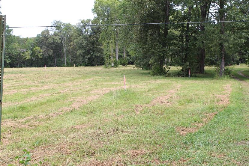 1 Vaught Road Readyville, TN 37149 - Photo 1 of 7 Gallery Image 1