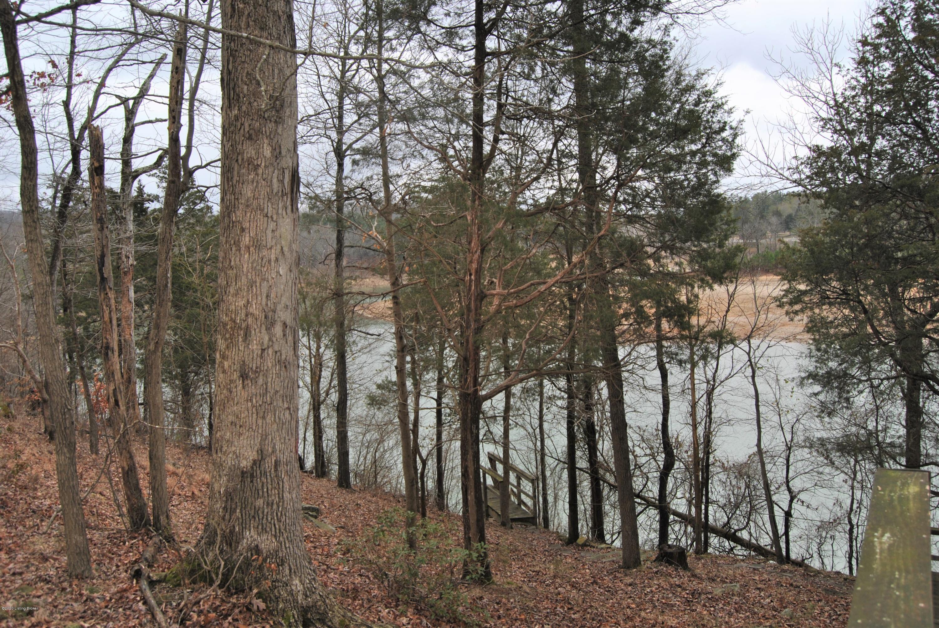 152 Turkey Hollow Road Cub Run, KY 42729 - Photo 11 of 38 DSC_0769