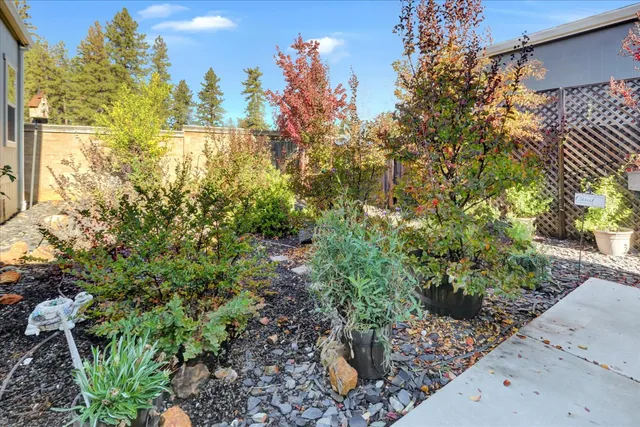a view of a garden with plants and wooden fence