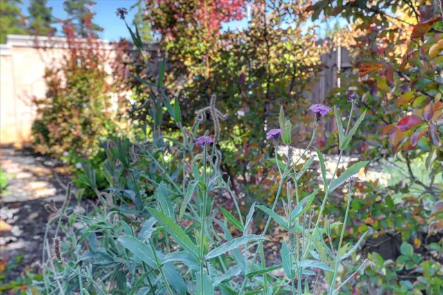 a backyard of a house