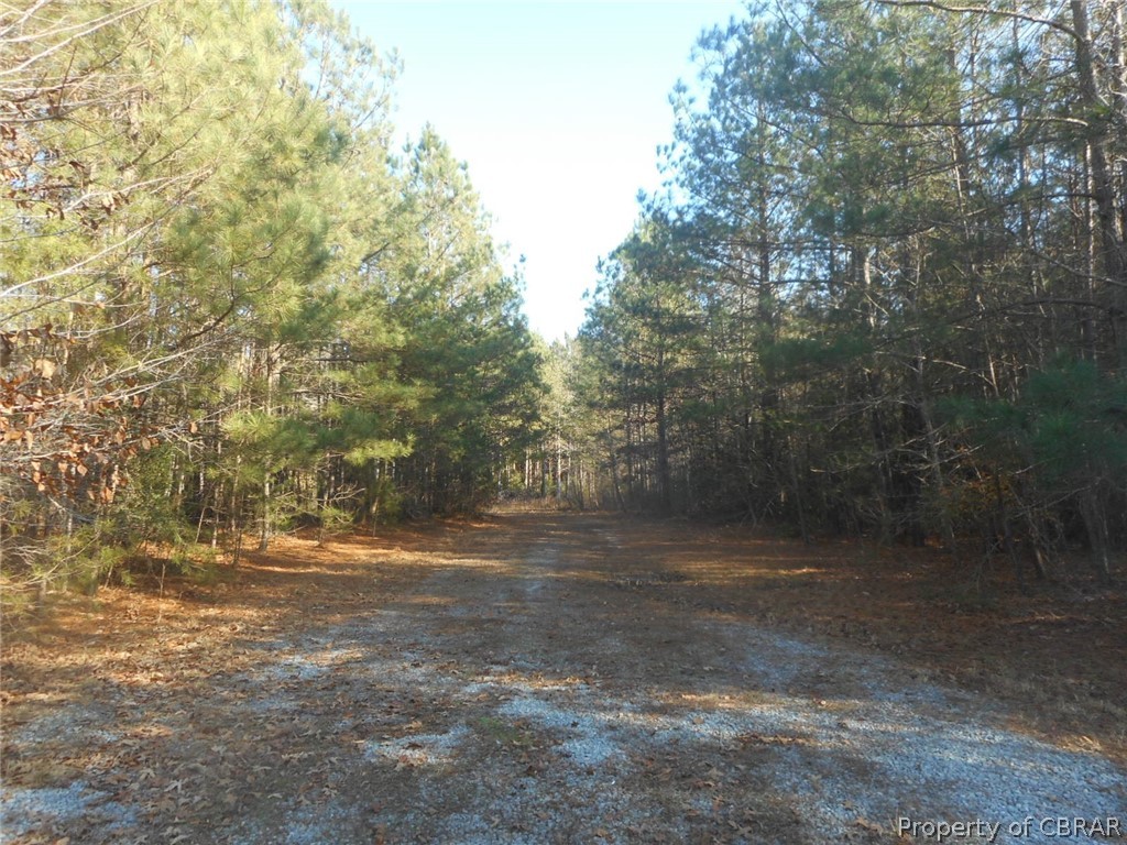 894 Iberis Road Lancaster, VA 22503 - Photo 13 of 13