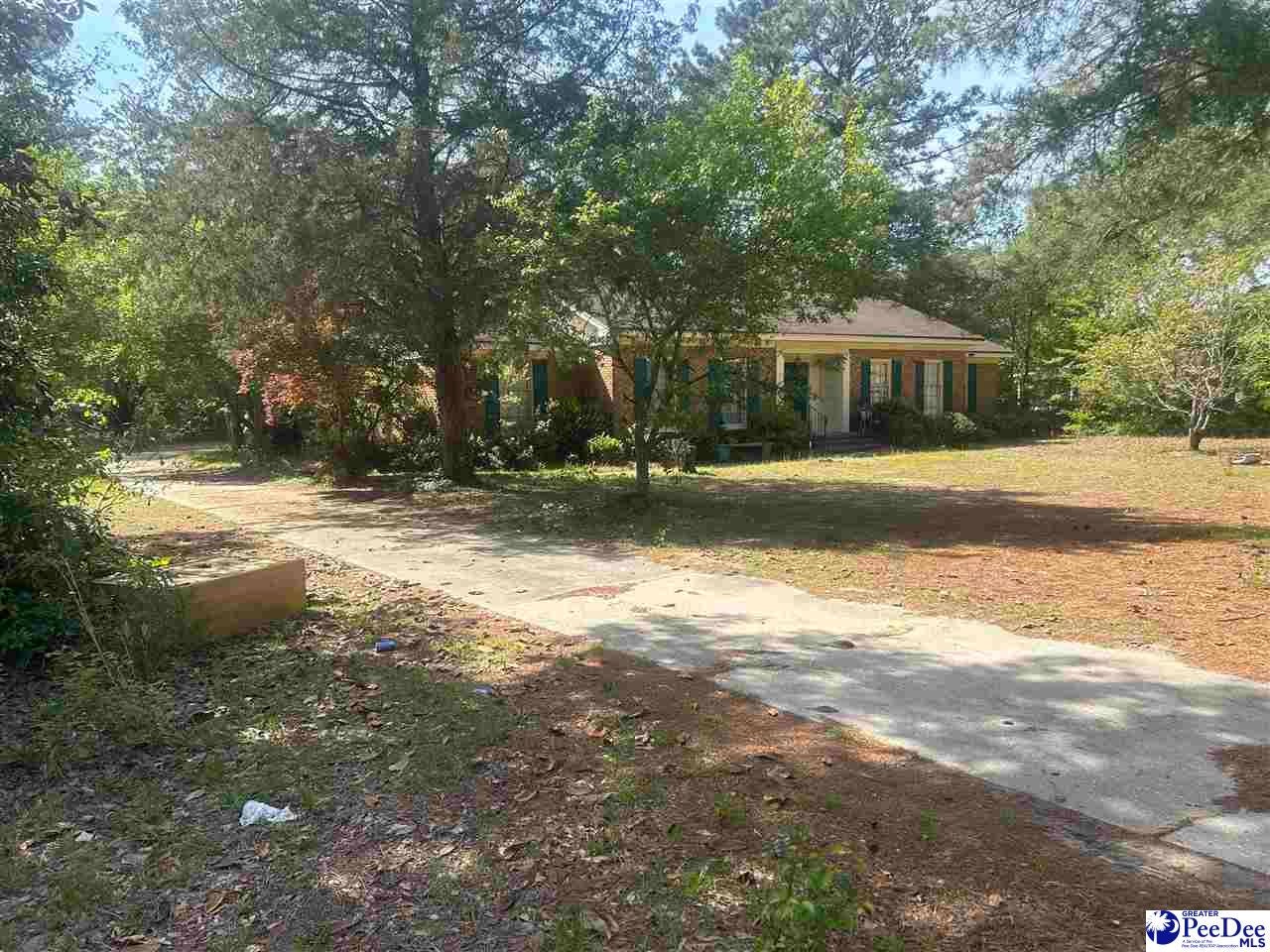 2231 Peniel Road Timmonsville, SC 29161 - Photo 3 of 19 Gallery Image 3