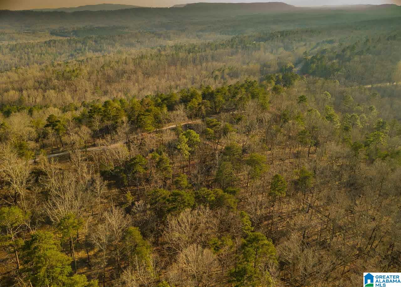 8150 Dunnavant Road, Unit 1 Leeds, AL 35094 - Photo 9 of 29