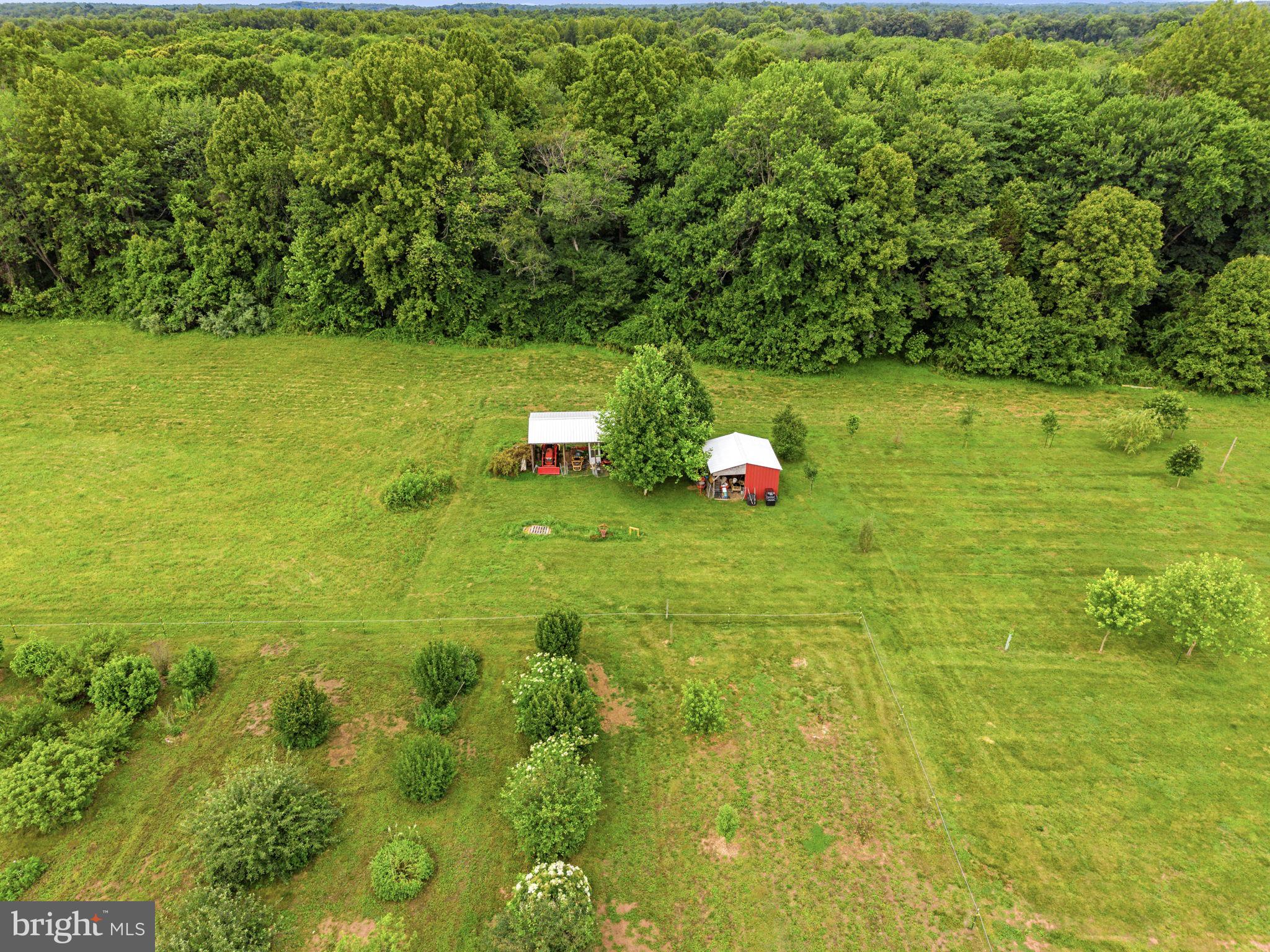 9269 Redemption Way Midland, VA 22728 - Photo 3 of 24
