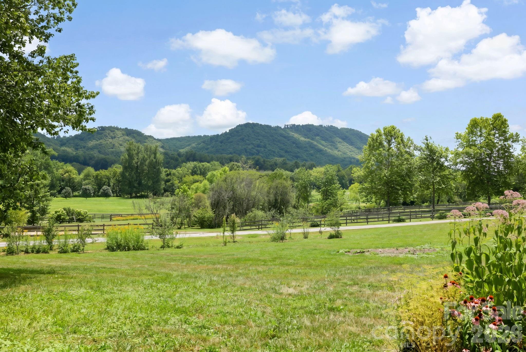 124 Cane Creek Ranch Drive Fletcher, NC 28732 - Photo 23 of 35