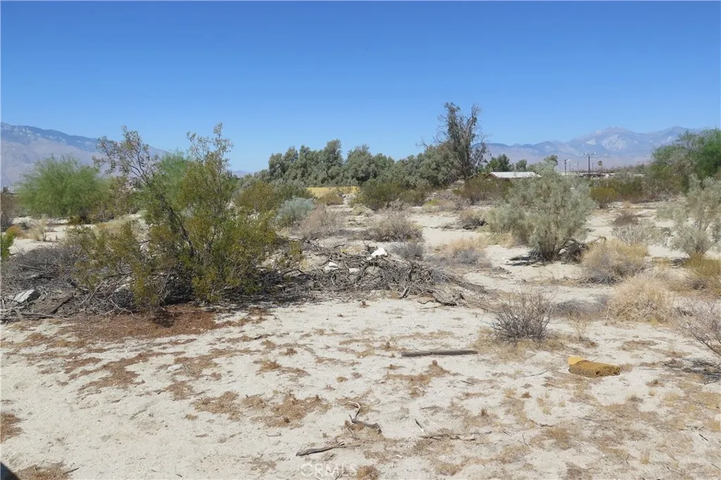 0 Aurora Road Riverside, CA 92504 - Photo 16 of 27 a view of a dry yard with trees