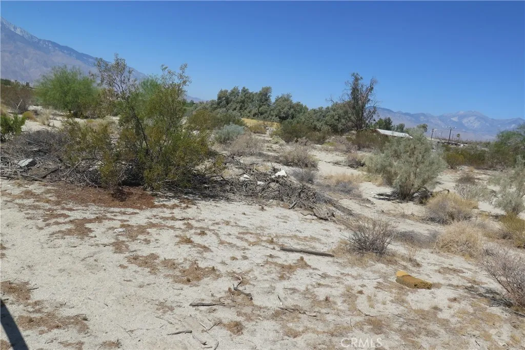 0 Aurora Road Riverside, CA 92504 - Photo 19 of 27 a view of a yard with a tree
