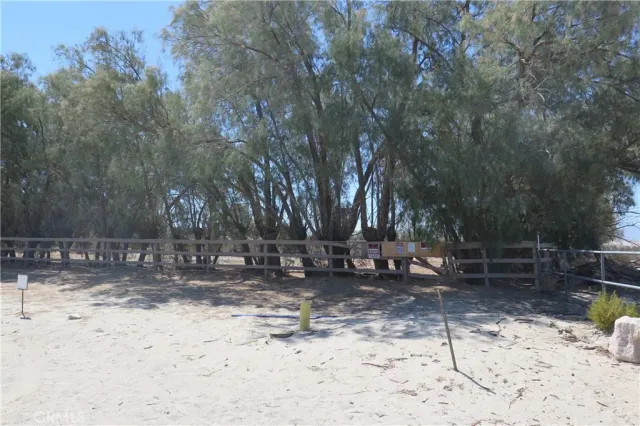 a backyard of a house with a tree