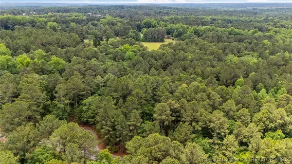 an aerial view of residential houses with outdoor space and trees