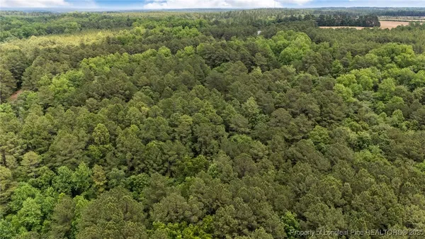 an aerial view of residential houses with outdoor space and trees