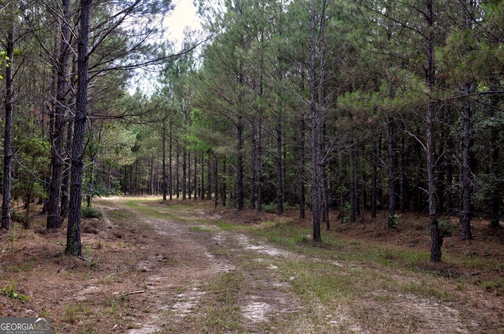 0 Highway 204 & Carlos Cowart Road Pembroke, GA 31321 - Photo 40 of 47