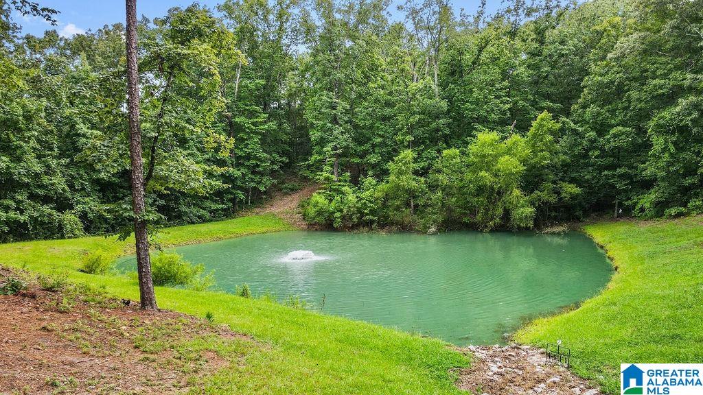 2249 Highway 93 Helena, AL 35080 - Photo 9 of 79