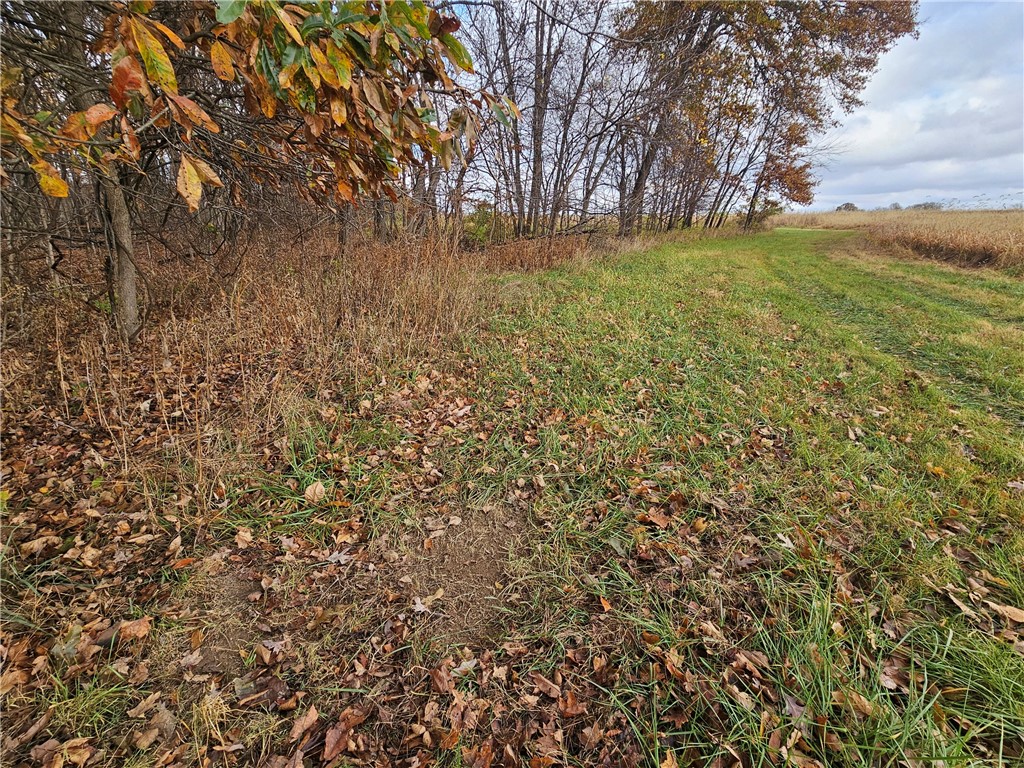 1100 N Road Danville, IL 61834 - Photo 8 of 20