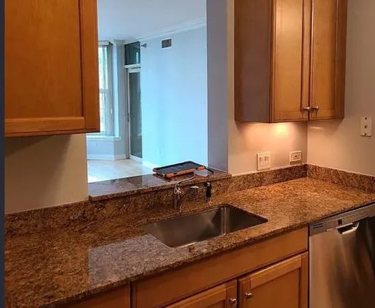 $3,450 | 25 East Superior Street, Unit 501, Chicago, IL 60611