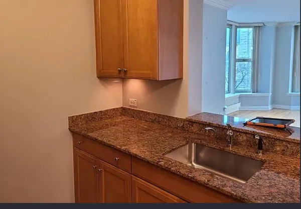 $3,450 | 25 East Superior Street, Unit 501, Chicago, IL 60611
