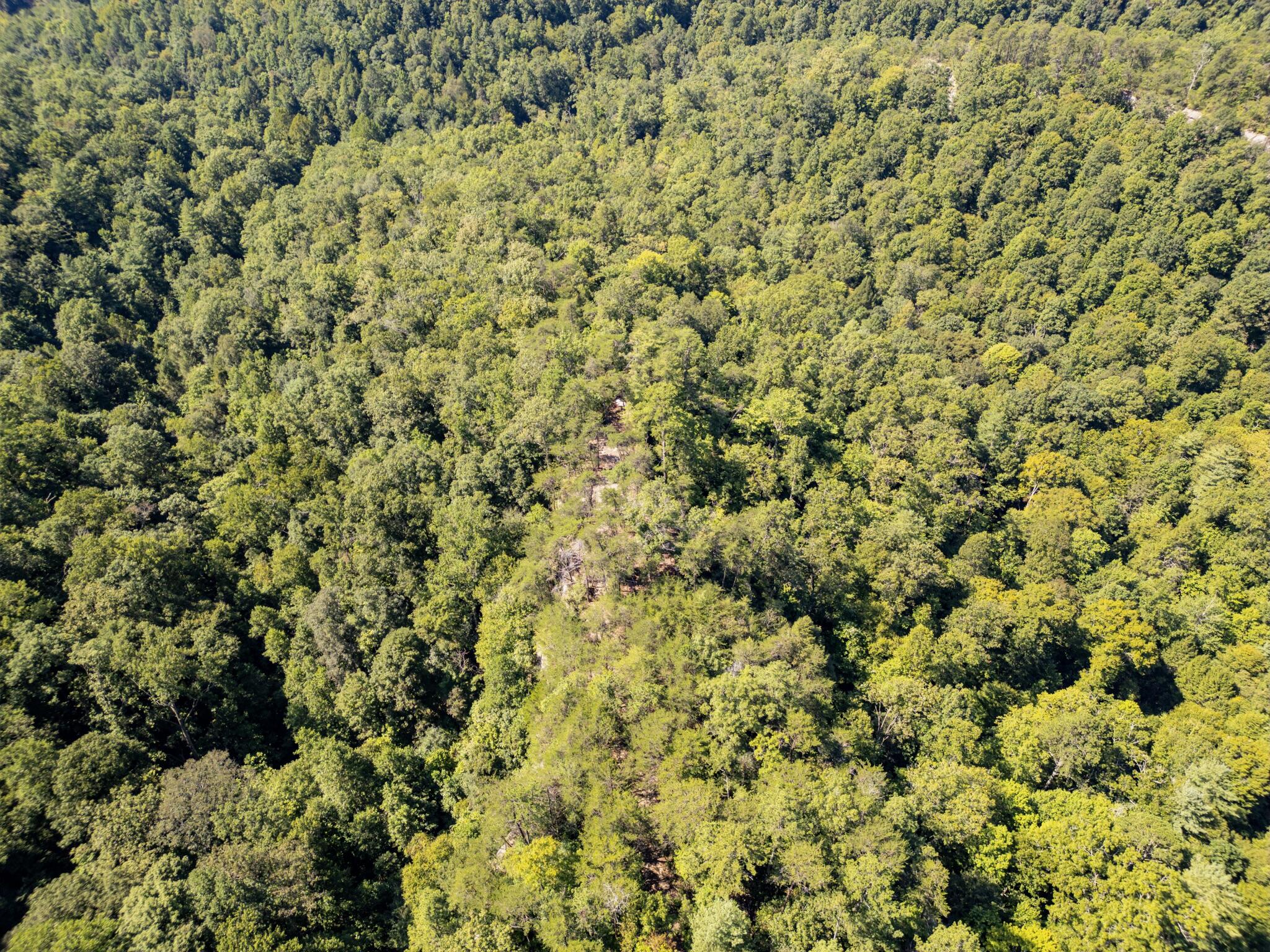 Highlands Of Rrg Lot 646 Highlands Of Rrg Trail Zoe, KY 41397 - Photo 14 of 19 DJI_0705-Enhanced-SR