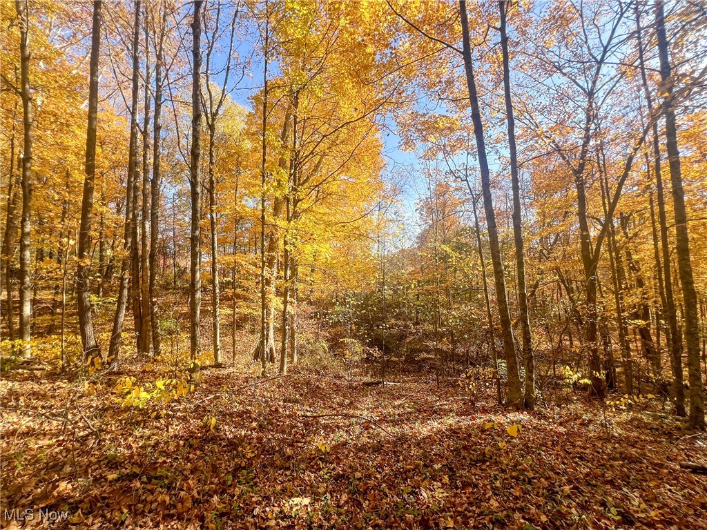 0 Roberts Road Amesville, OH 45711 - Photo 22 of 39 View of landscape