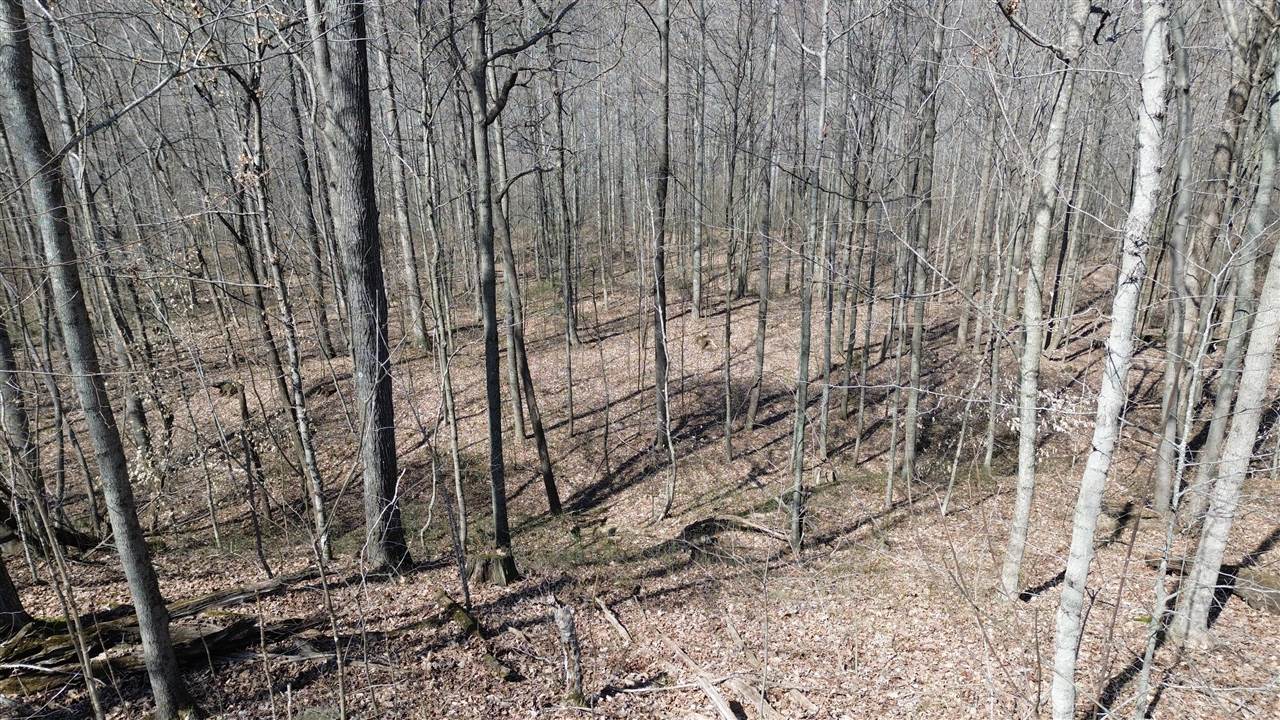 20 A Riverside Benleo Road Bowling Green, KY 42101 - Photo 20 of 26 Gallery Image 20
