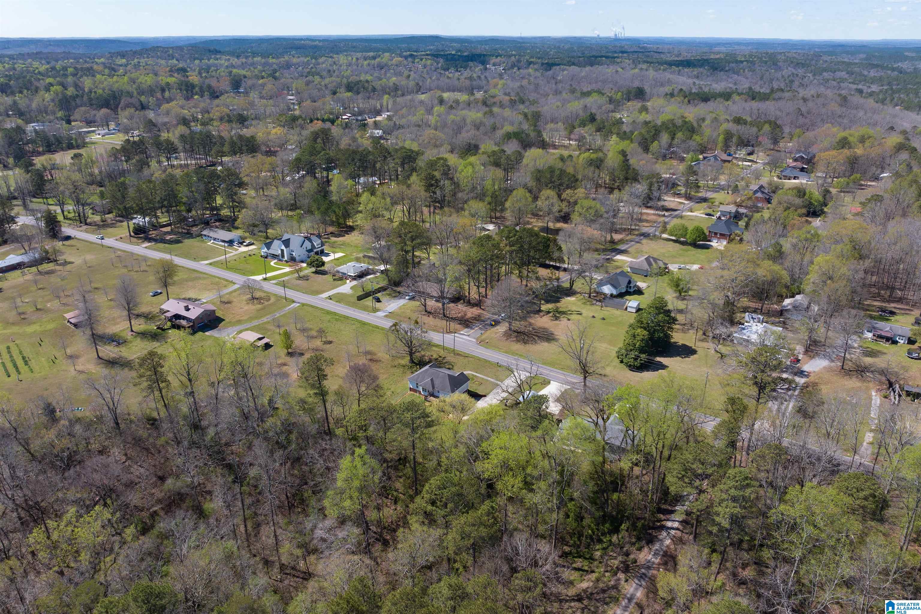 3645 Mt Olive Road Mount Olive, AL 35117 - Photo 30 of 42