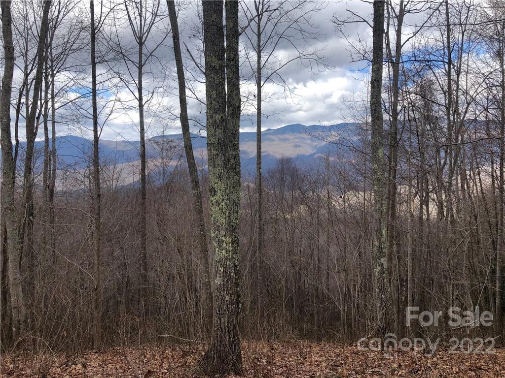 402 High Line Road, Unit 32 Sylva, NC 28779 - Photo 2 of 15 Gallery Image 2