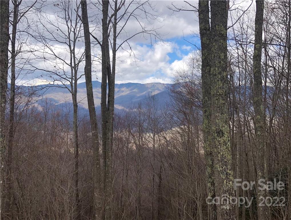402 High Line Road, Unit 32 Sylva, NC 28779 - Photo 3 of 15 Gallery Image 3