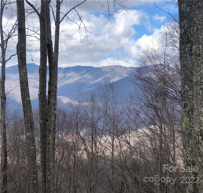 402 High Line Road, Unit 32 Sylva, NC 28779 - Photo 4 of 15 Gallery Image 4