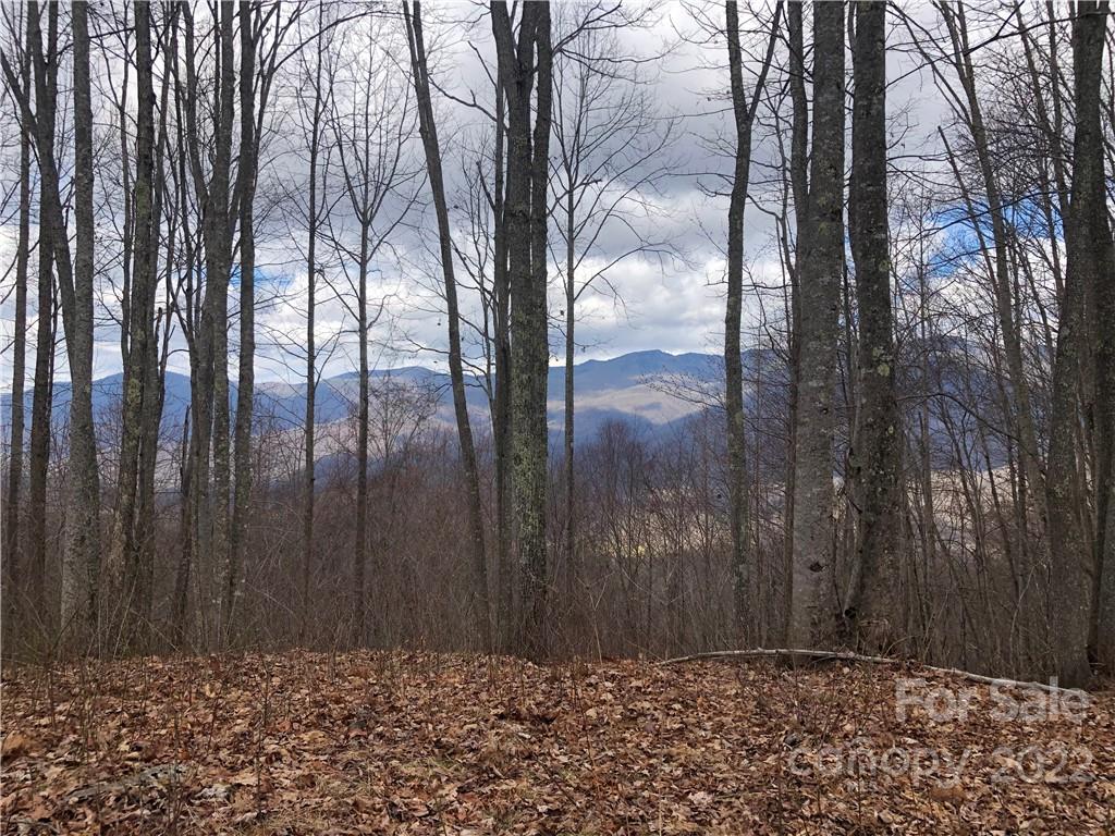 402 High Line Road, Unit 32 Sylva, NC 28779 - Photo 5 of 15 Gallery Image 5