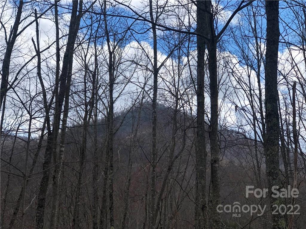 402 High Line Road, Unit 32 Sylva, NC 28779 - Photo 6 of 15 Gallery Image 6