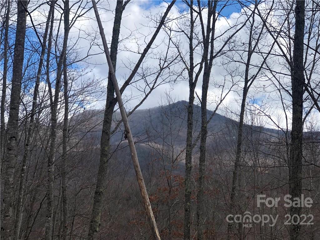 402 High Line Road, Unit 32 Sylva, NC 28779 - Photo 7 of 15 Gallery Image 7