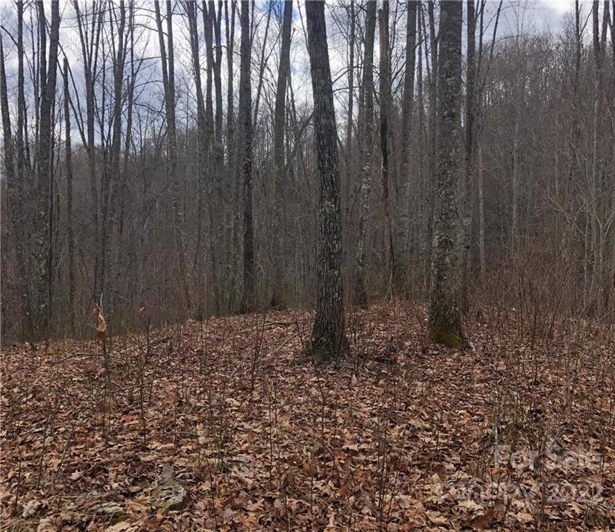 402 High Line Road, Unit 32 Sylva, NC 28779 - Photo 8 of 15 Gallery Image 8