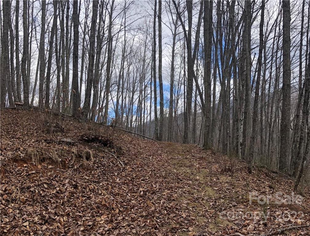 402 High Line Road, Unit 32 Sylva, NC 28779 - Photo 9 of 15 Gallery Image 9